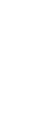 Logo Copa América